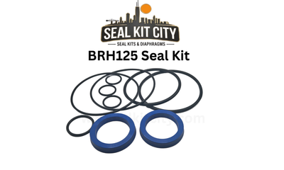 BRH125 Seal Kit by Seal Kit City, containing various black rubber O-rings and two blue seals, displayed on a white background with the brand logo at the top.
