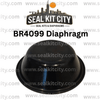 Rammer/Sandvik 4099/BR4099 Diaphragm - SealKitCity