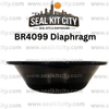 Rammer/Sandvik 4099/BR4099 Diaphragm - SealKitCity