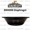 Rammer/Sandvik 4099/BR4099 Diaphragm