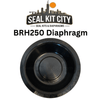 Tramac/Montabert BRH250 Diaphragm - SealKitCity